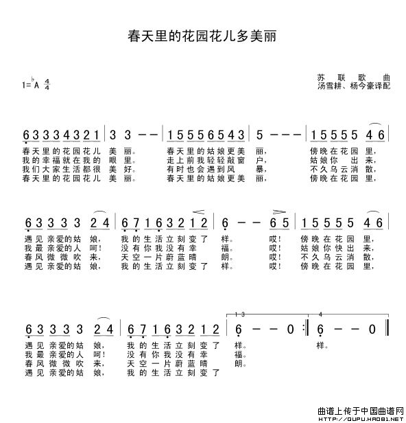 春天里曲谱_春天里的花图片