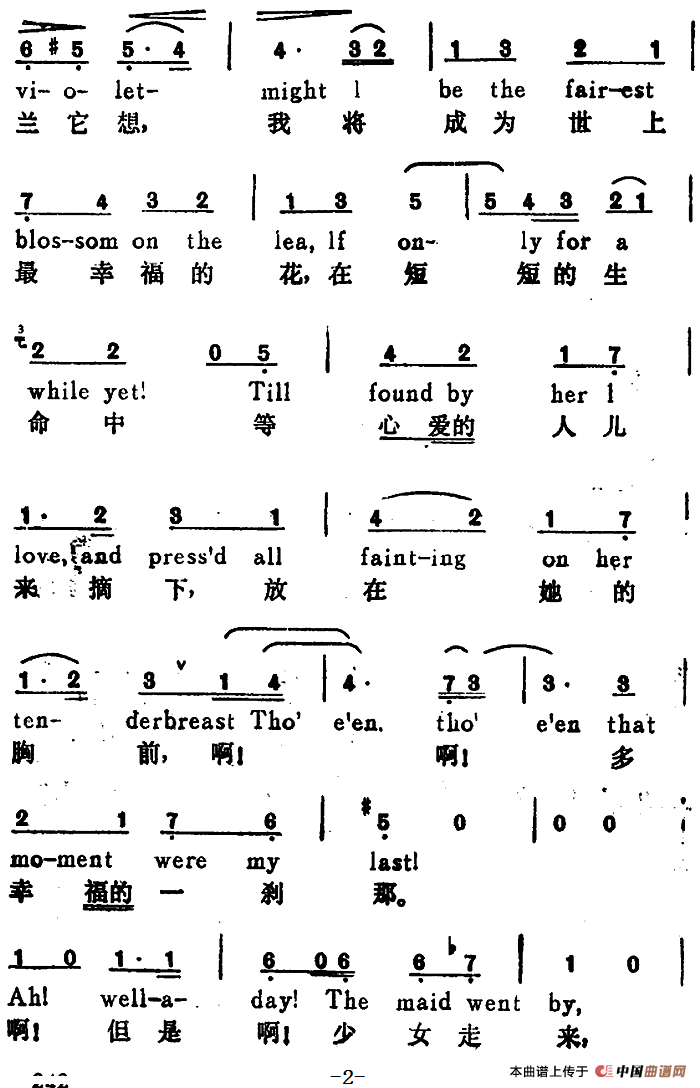 [奥]紫罗兰(the violet) (汉英文对照)_外国曲谱_中国