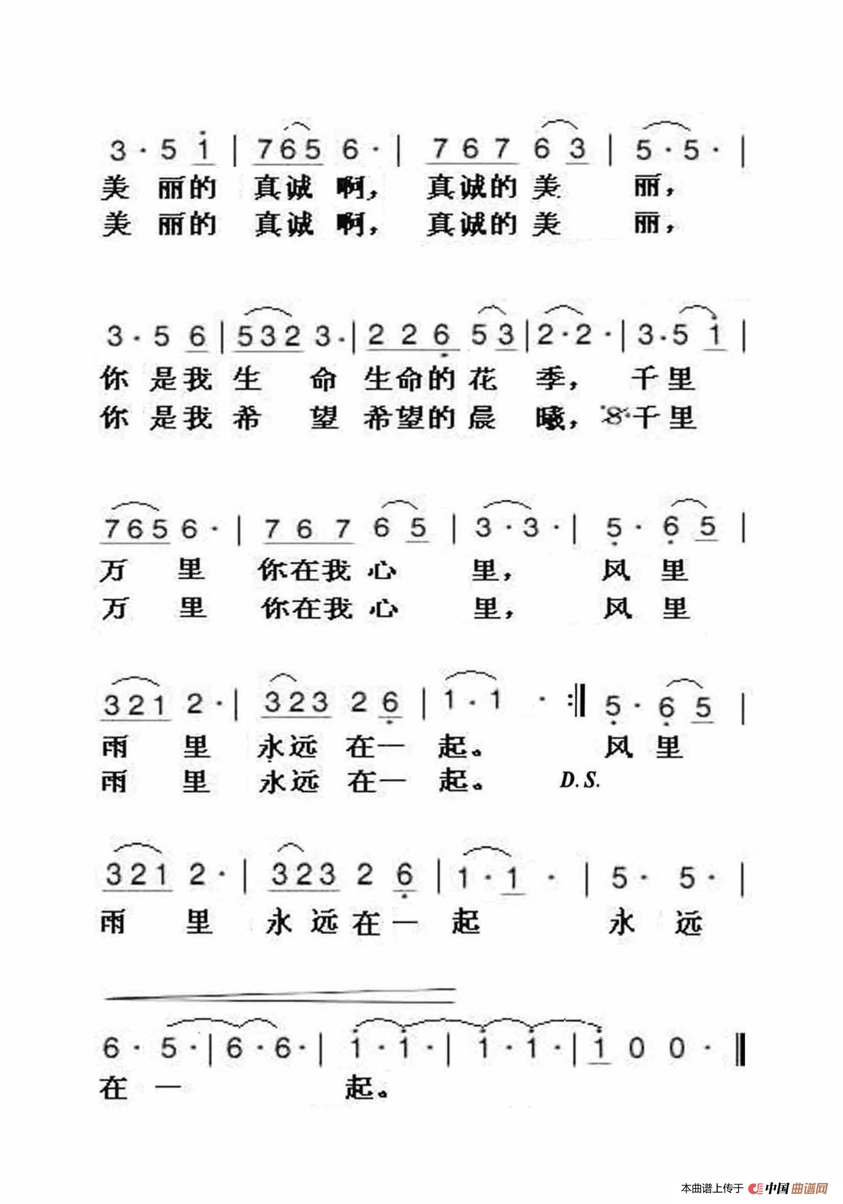 真诚的美丽(大字老人适用)