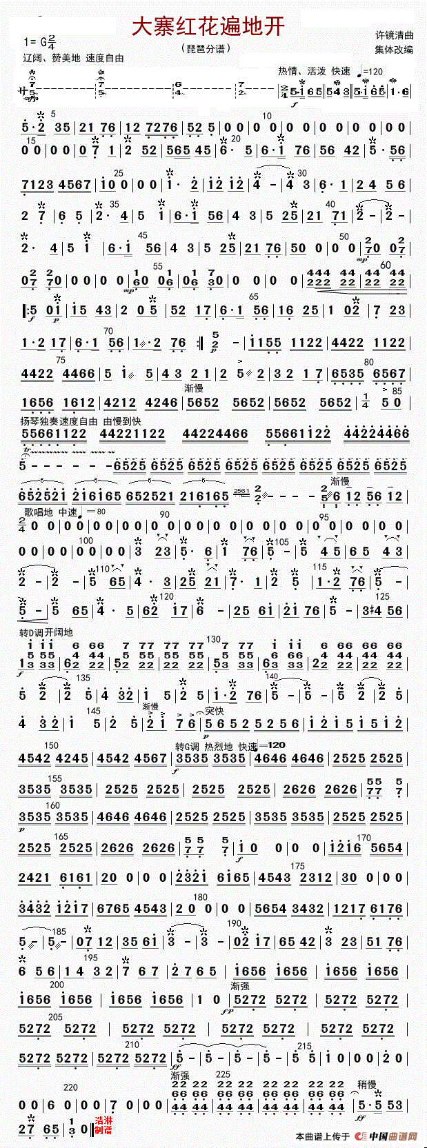 大寨红花遍地开(琵琶(修改版))