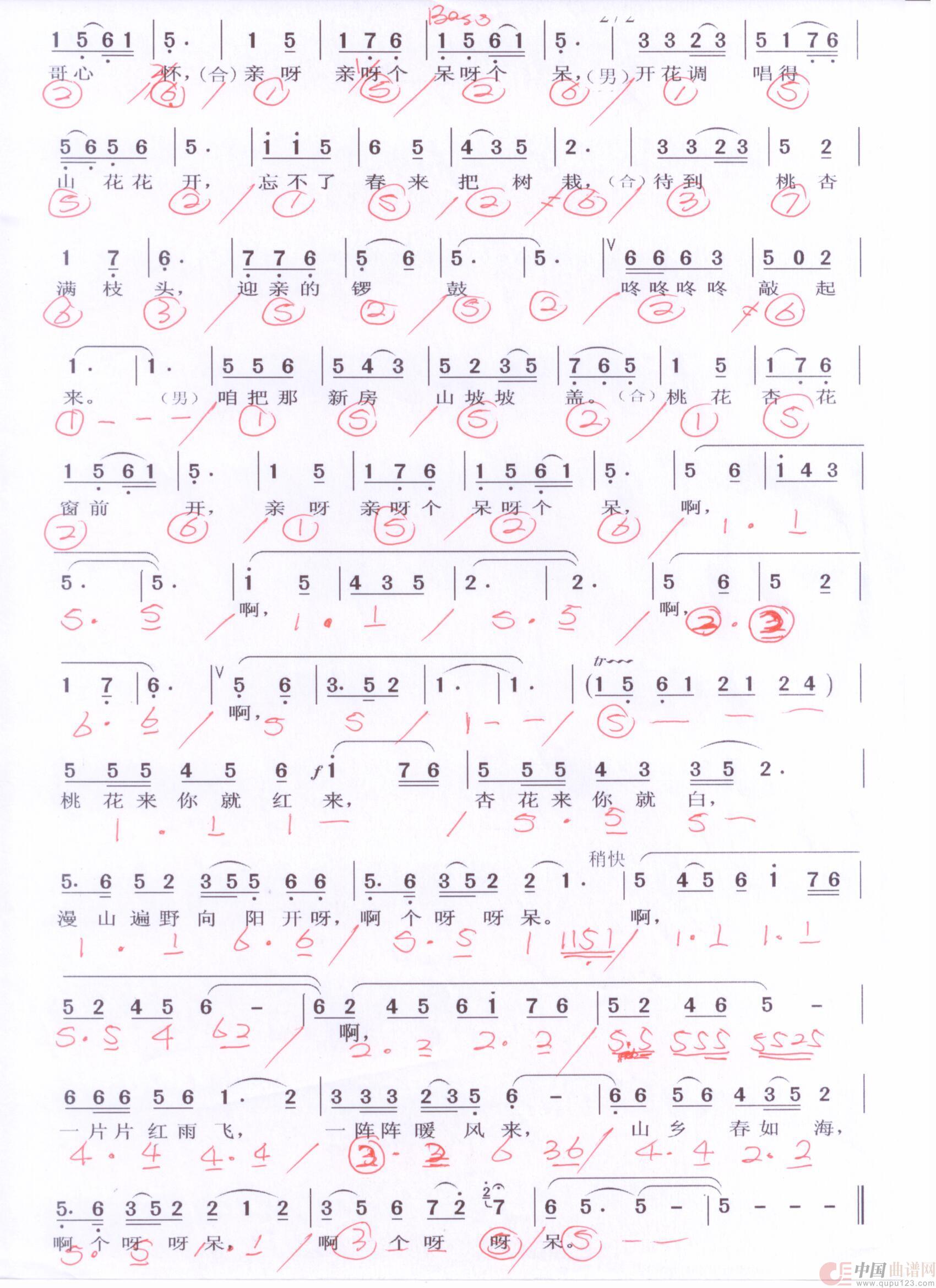 贝斯谱T(1)_原文件名:桃花红杏花白2 001.jpg